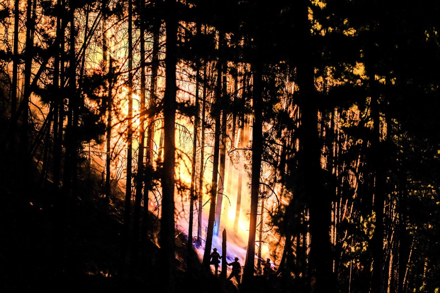 南太行“火劫”何解？