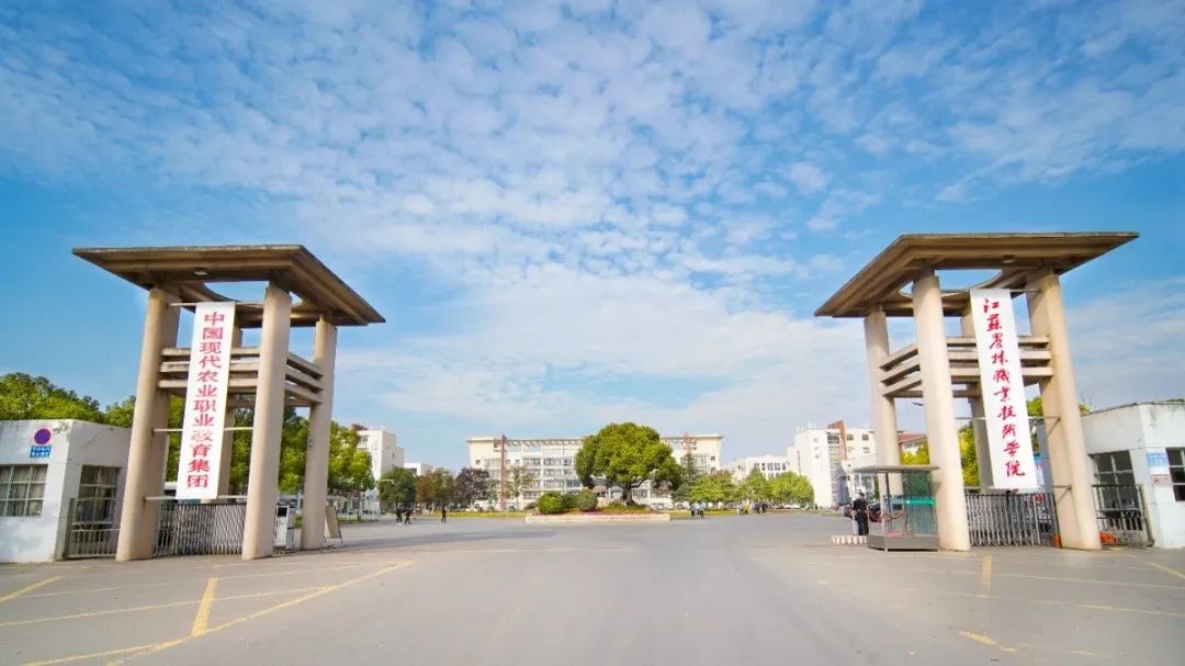 未畢業(yè)就定崗，一畢業(yè)就任教大學&hellip;&hellip;這所職校的學生緣何這么牛？