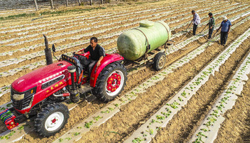 撂荒地長(zhǎng)出&ldquo;萬(wàn)元田&rdquo;