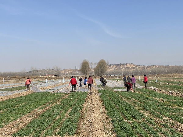 農(nóng)業(yè)保險(xiǎn)高質(zhì)量發(fā)展尚需突破&ldquo;三重門(mén)&rdquo;