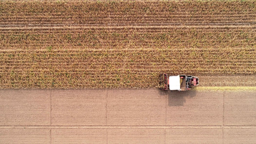 小糧庫大&ldquo;蠹蟲&rdquo;：糧食購銷貪腐為何頻頻得手？