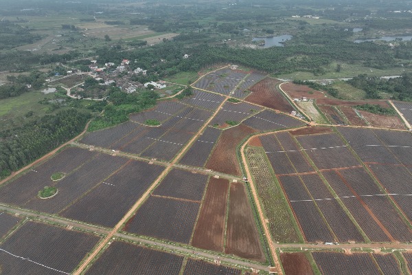 　海南礦山修復讓廢礦&ldquo;生金&rdquo;