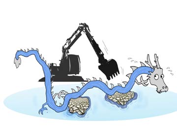 &ldquo;長江雙腎&rdquo;綜合病癥日益惡化