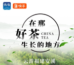 福建：安溪攜手新華社&ldquo;快看&rdquo;開展&ldquo;在那好茶生長(zhǎng)的地方&rdquo;主題直播活動(dòng)