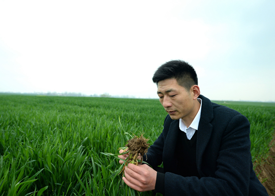 &ldquo;90后&rdquo;逆流回村成了&ldquo;當(dāng)家人&rdquo;